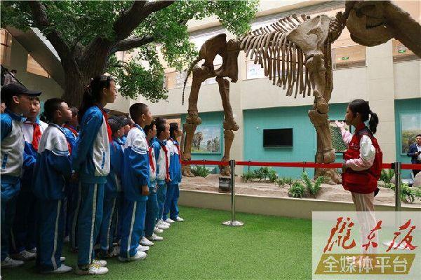 【第一眼】慶陽市博物館開展多項活動慶?！?·18國際博物館日”