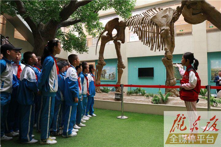 【第一眼】慶陽(yáng)市博物館開(kāi)展多項(xiàng)活動(dòng)慶?！?·18國(guó)際博物館日”