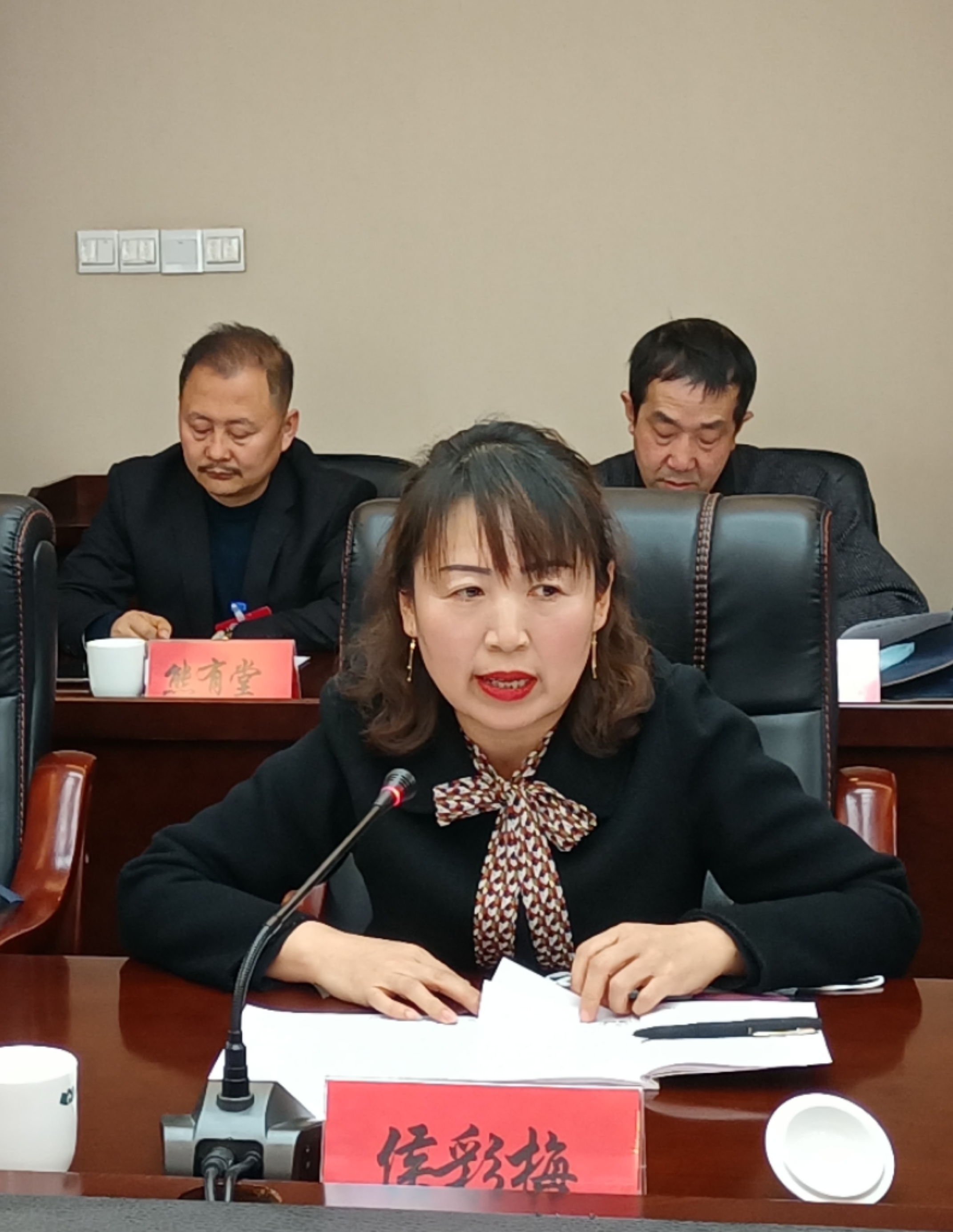 侯彩梅委員在討論發(fā)言時(shí)就規(guī)范農(nóng)村中小學(xué)體育教學(xué)提出了建議。