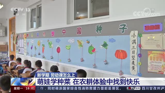 新學(xué)期，勞動(dòng)課怎么上？央視《新聞直播間》關(guān)注北師大慶陽附校農(nóng)耕體驗(yàn)課