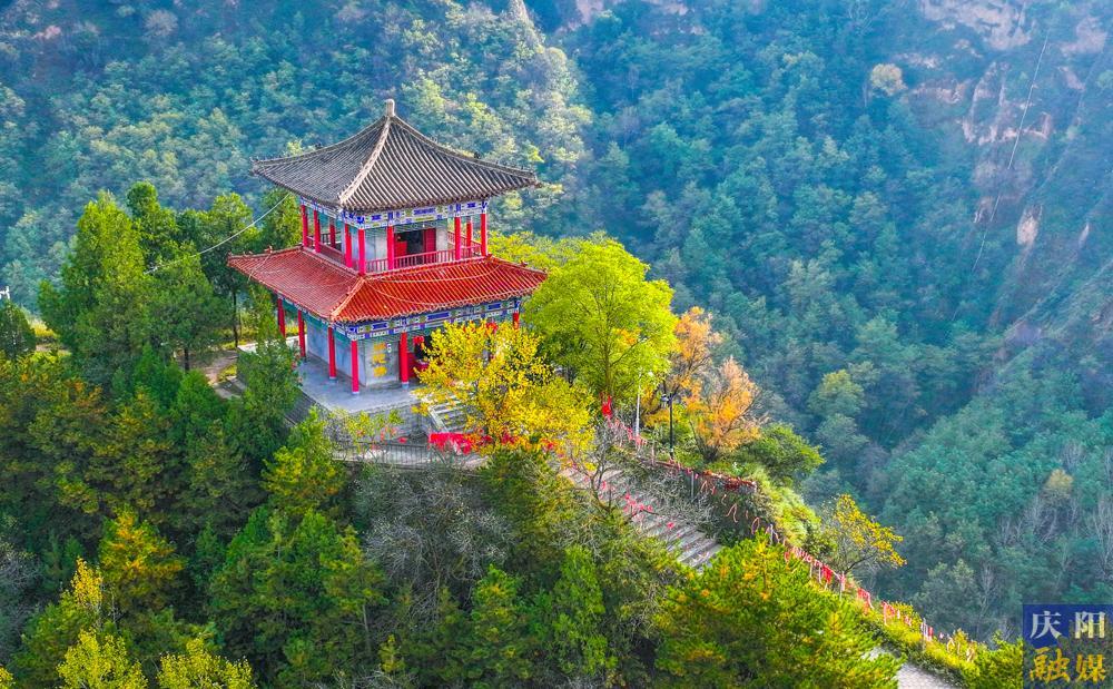 【攝影報道】天涼好個秋！一年一度醉人秋景如約而至