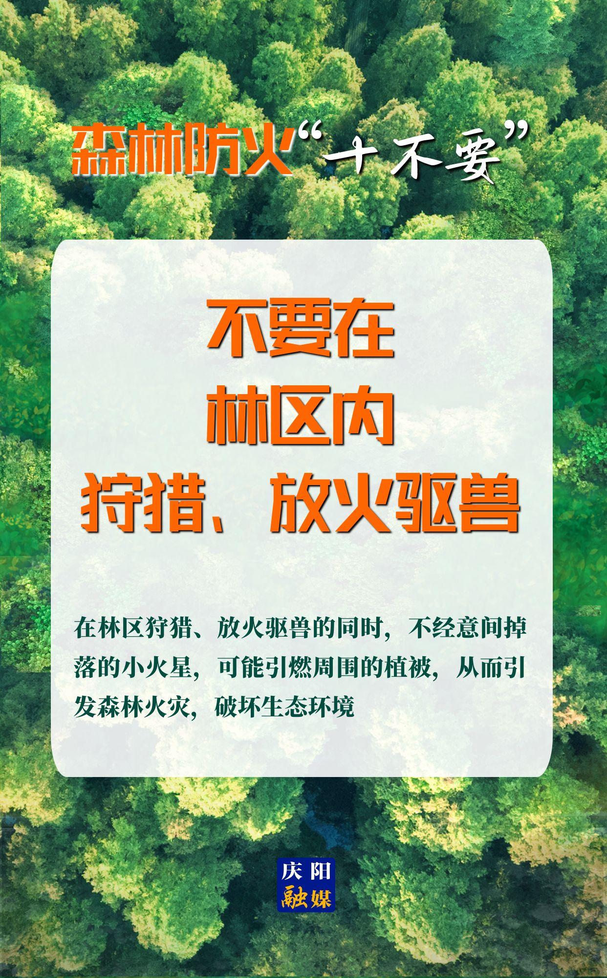 【微海報(bào)】森林防火“十不要”⑨丨不要在林區(qū)內(nèi)狩獵、放火驅(qū)獸
