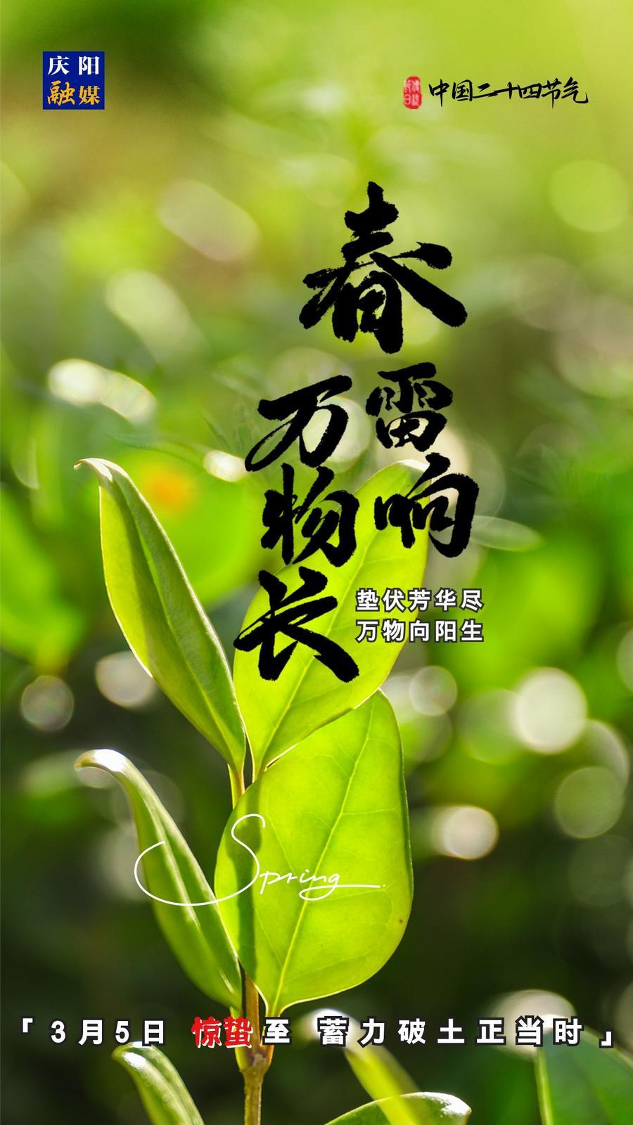 【微海報】二十四節(jié)氣丨驚蟄至，蓄力破土正當(dāng)時