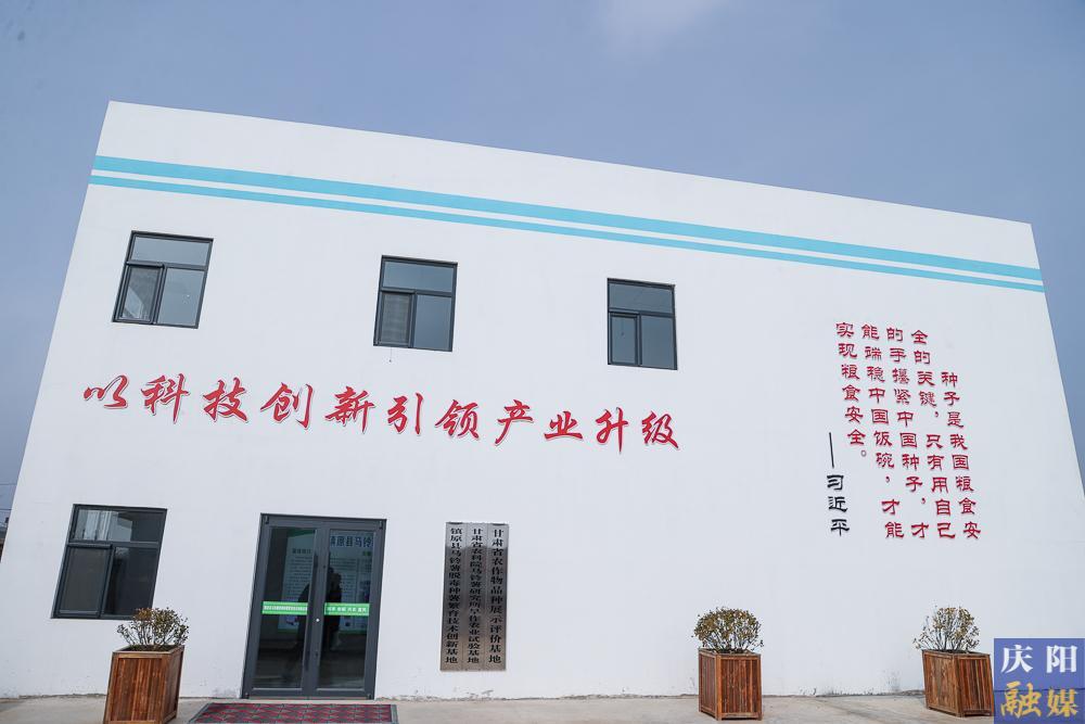 【攝影報道】馬鈴薯種薯繁育：賦能糧食優(yōu)質高產(chǎn) 助力群眾就業(yè)增收