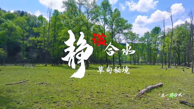 【五一游慶陽】靜謐合水︱合水縣太莪鄉(xiāng)草甸秘境等你來打卡！