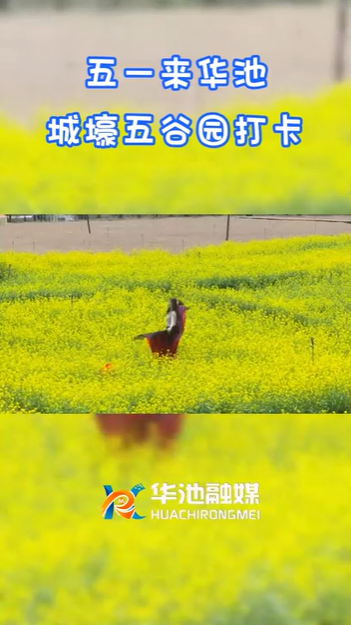 【五一游慶陽】歡迎來華池城壕五谷園打卡??！
