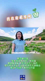 南梁鎮(zhèn)打造“我在南梁有塊田”體驗(yàn)園，建成集種植、研學(xué)、觀光于一體的現(xiàn)代觀光農(nóng)業(yè)產(chǎn)業(yè)園，加快農(nóng)文旅融合，推動產(chǎn)業(yè)鏈不斷優(yōu)化升級