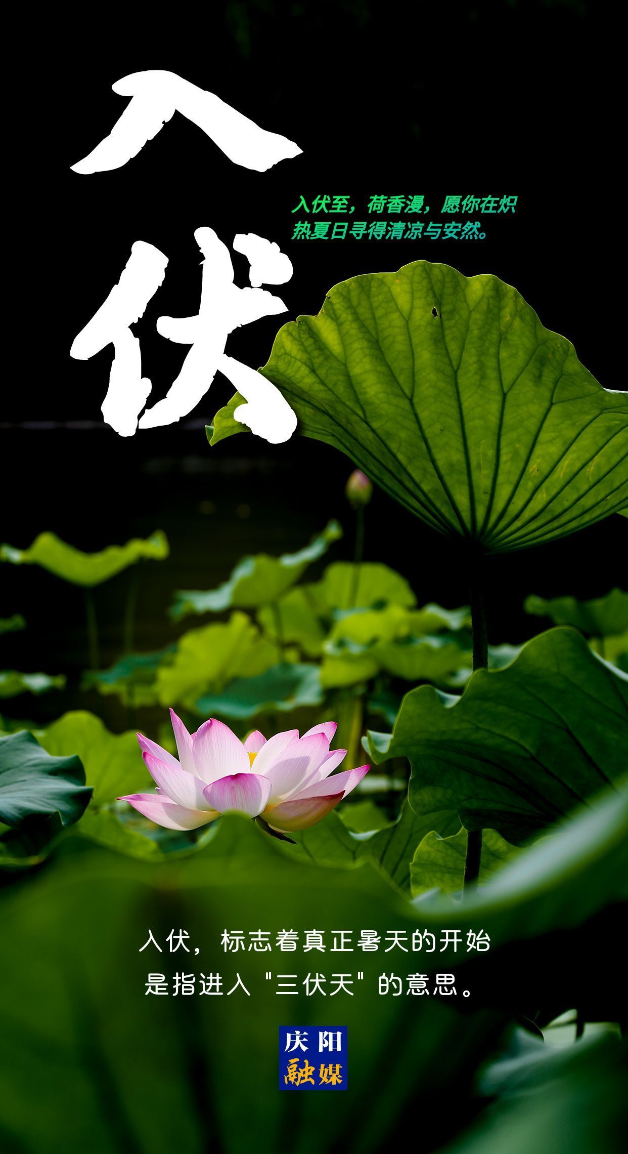 【微海報】今日入伏丨愿你安然度夏！