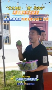 “甘之如飴‘桃’你歡心”黃甘桃采摘直播季｜網(wǎng)絡(luò)主播郭濤為家鄉(xiāng)黃甘桃代言，歡迎大家來寧縣采摘黃甘桃